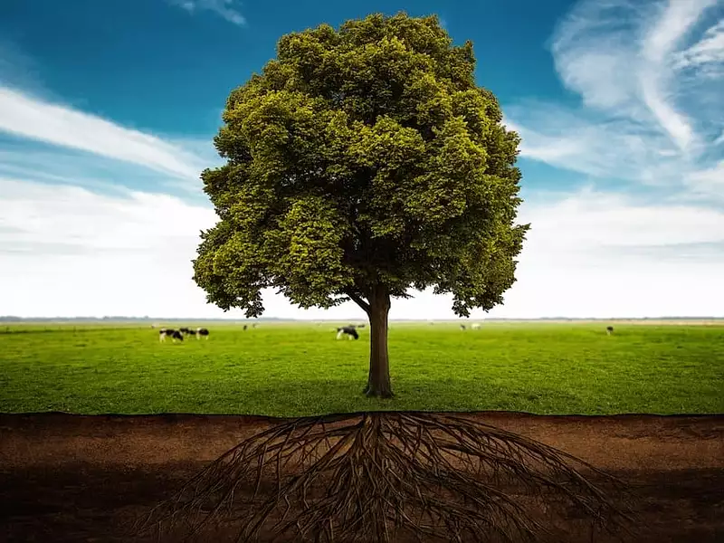 Terrain à bâtir, 328 m² - Mouilleron-le-Captif (85000)