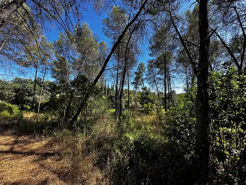 Maison neuve, 145 m² - Bagnols-en-Forêt (83600)