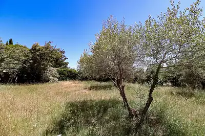 Terrain à bâtir, 1 000 m²