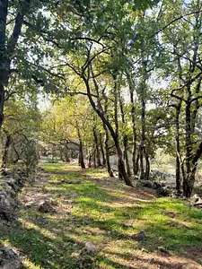 Maison neuve, 90 m²