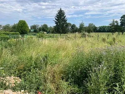 Terrain à bâtir, 420 m² - Crêches-sur-Saône (71680)