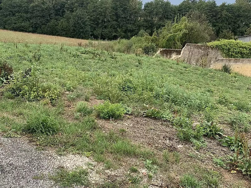 Terrain à bâtir, 1 229 m² - Le Tremblois (70100)