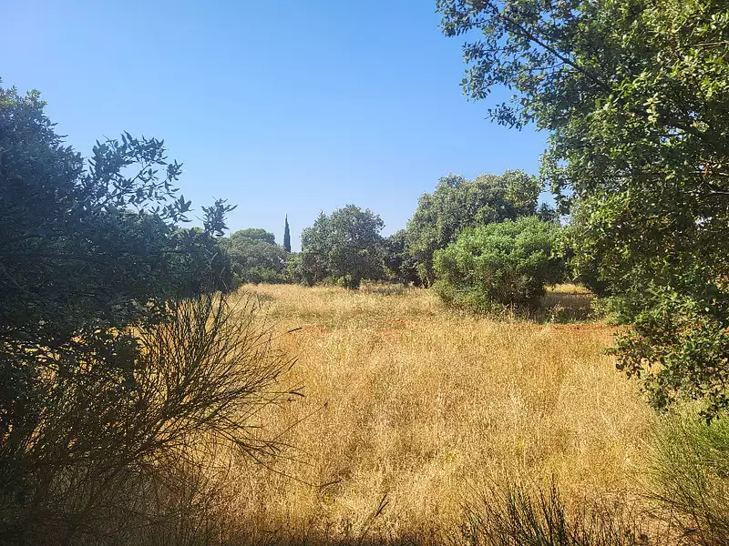Terrain à bâtir, 300 m² - Saint-Siffret (30700)
