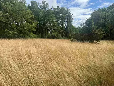 Maison neuve, 80 m²