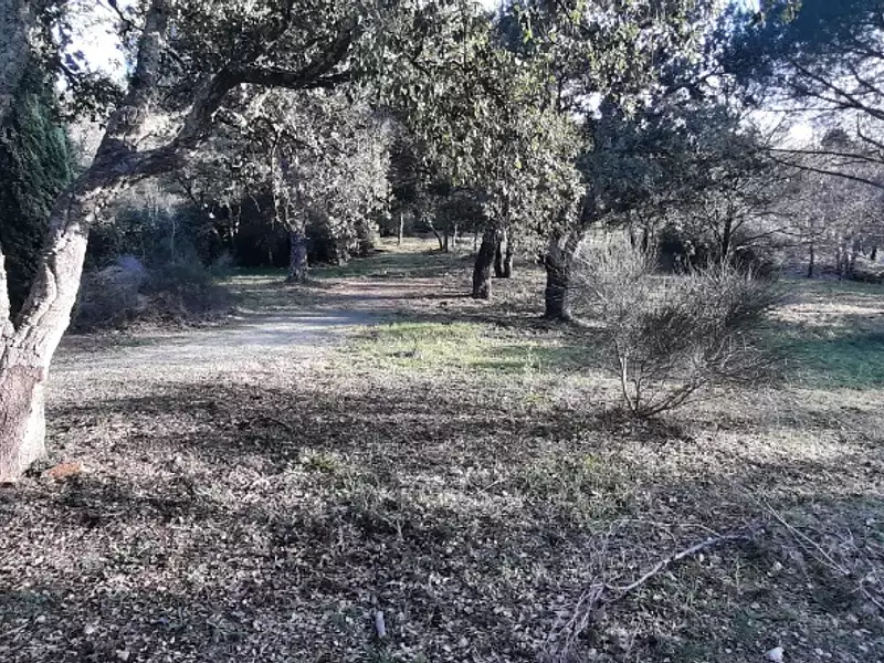 Maison neuve, 83 m² - Vidauban (83550)