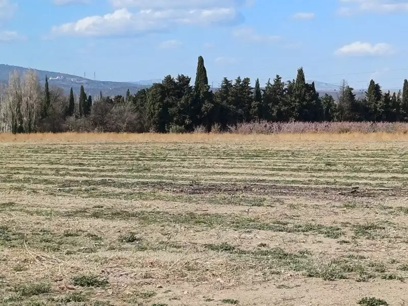 Terrain à bâtir, 695 m² - Millas (66170)