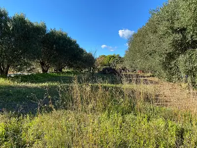 Terrain à bâtir, 615 m² - Saint-Cyr-sur-Mer (83270)