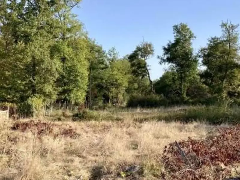 Terrain à bâtir, 580 m² - Saint-Genès-de-Lombaud (33670)