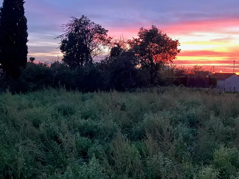 Terrain à bâtir, 425 m² - Cognac (16100)