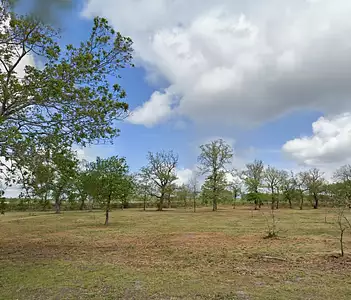 Maison neuve, 100 m²