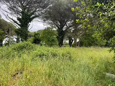 Maison neuve, 85 m²