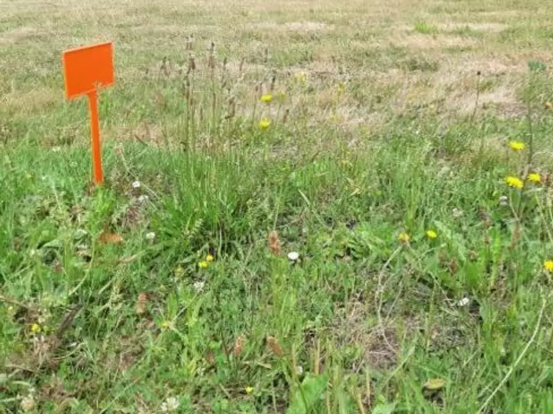 Terrain à bâtir, 875 m² - Saint-Michel-Chef-Chef (44730)