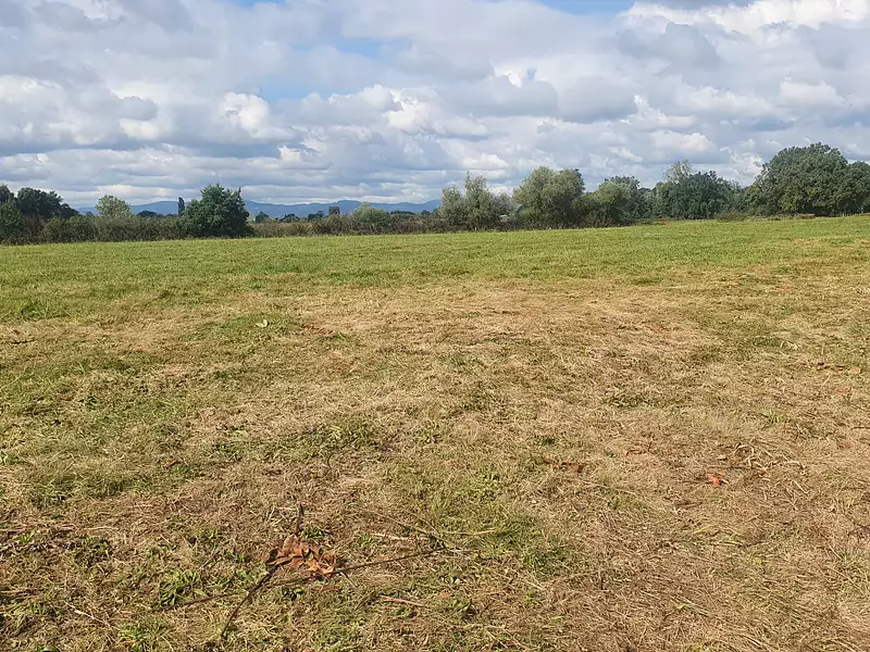 Terrain à bâtir, 900 m² - Bâgé-Dommartin (01380)