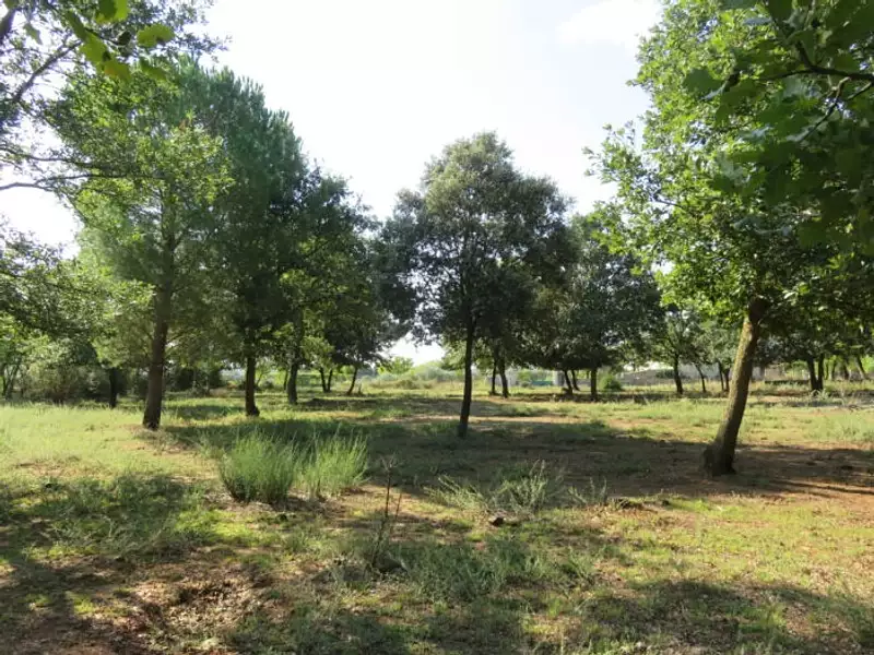 Terrain à bâtir, 480 m² - Montignargues (30190)