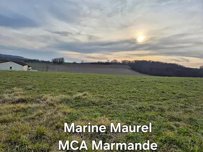 Terrain à bâtir, 3 500 m²