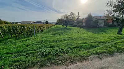 Terrain à bâtir, 877 m²