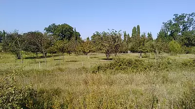 Maison neuve, 75 m²