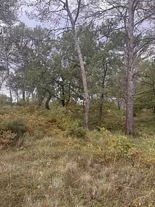 Terrain à bâtir, 352 m²