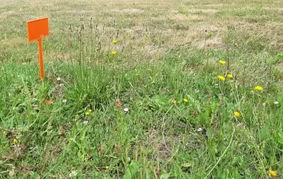 Terrain à bâtir, 350 m²