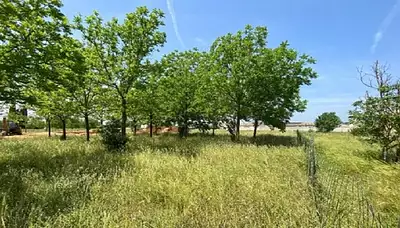 Maison neuve, 89 m²