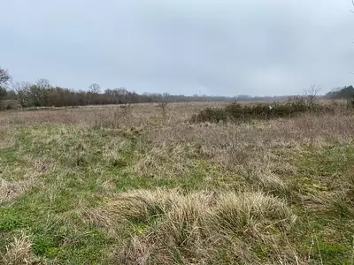 Maison neuve, 95 m²