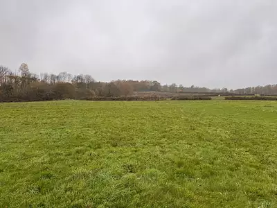 Maison neuve, 80 m²