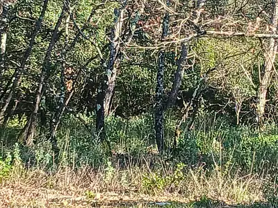 Terrain à bâtir, 860 m²