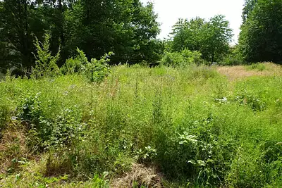 Terrain à bâtir, 640 m²