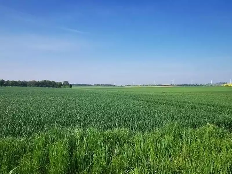 Terrain à bâtir, 984 m² - Falaise (14700)