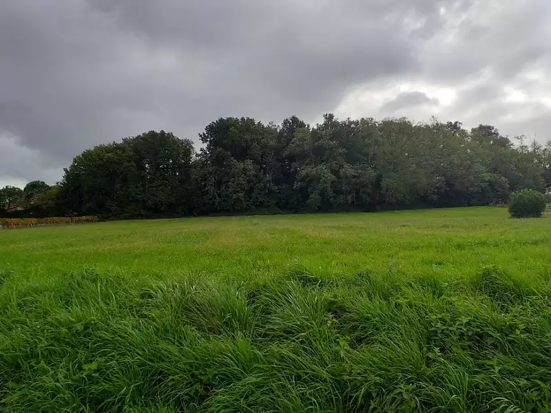 Terrain à bâtir, 1 400 m² - Sadirac (33670)