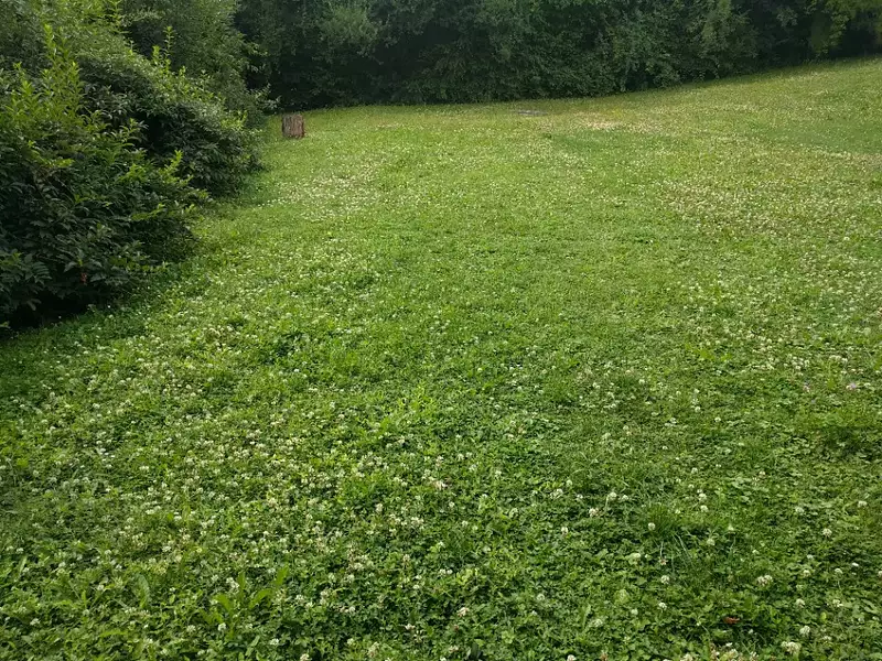Maison neuve, 102 m² - Saint-Fargeau-Ponthierry (77310)