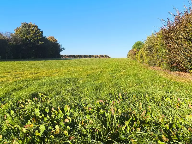 Terrain à bâtir, 1 700 m² - Salles-d'Angles (16130)