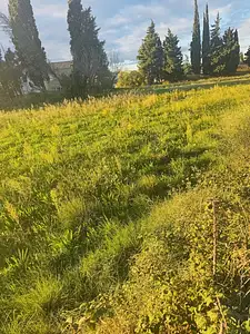 Maison neuve, 90 m²