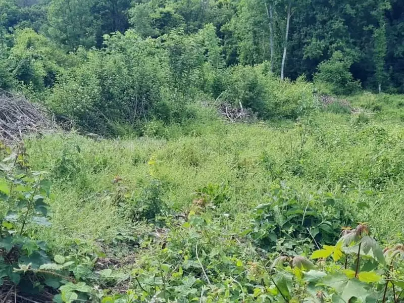 Maison neuve, 90 m² - Chamigny (77260)