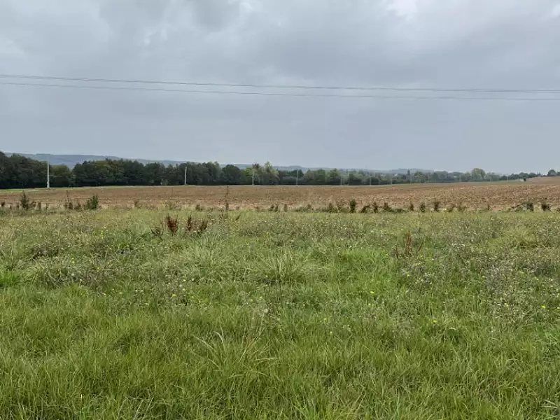 Terrain à bâtir, 429 m² - Valframbert (61250)