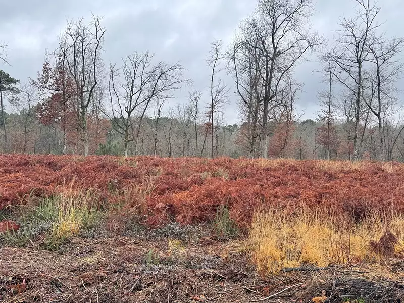 Terrain à bâtir, 1 500 m² - Atur (24750)