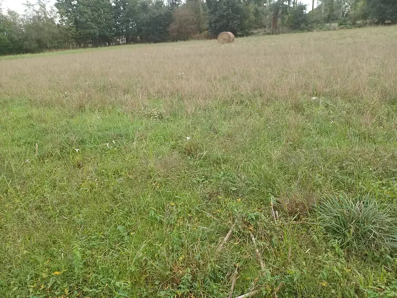 Maison neuve, 78 m² - Saint-Domineuc (35190)