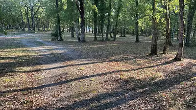 Terrain à bâtir, 1 000 m²