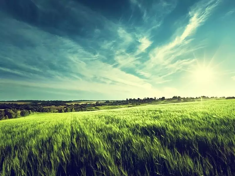 Maison neuve, 130 m² - Bellevigny (85170)