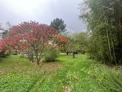 Terrain à bâtir, 946 m²