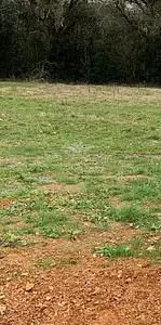 Maison neuve, 99 m²