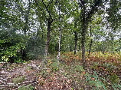 Maison neuve, 80 m²