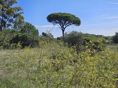 Maison neuve, 90 m²