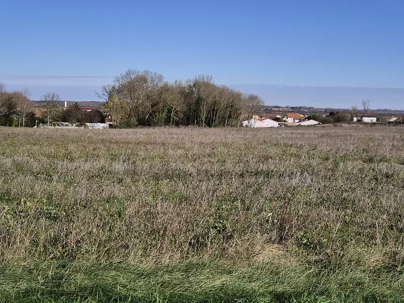 Terrain à bâtir, 365 m² - Port-des-Barques (17730)