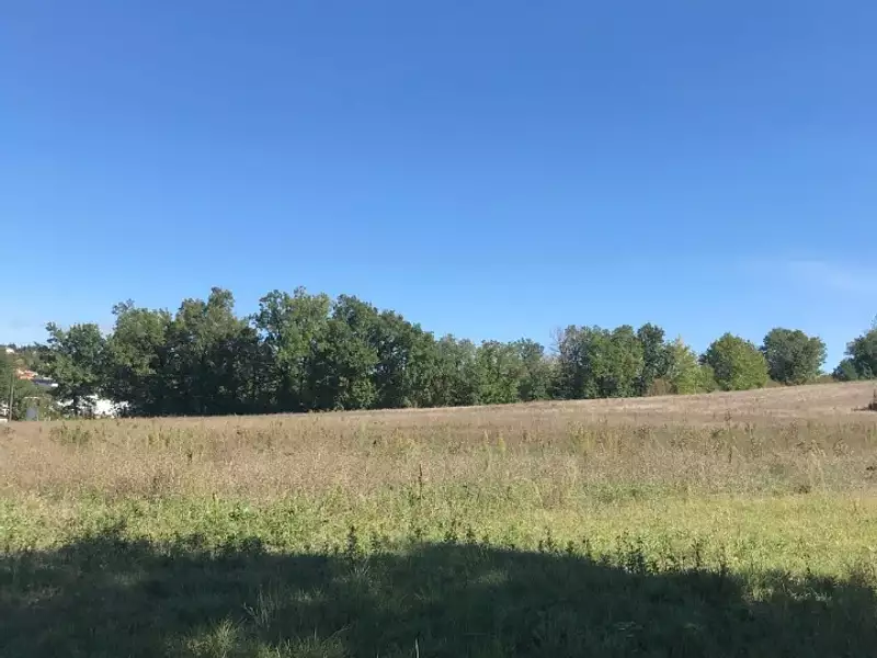 Terrain à bâtir, 685 m² - Puygouzon (81990)