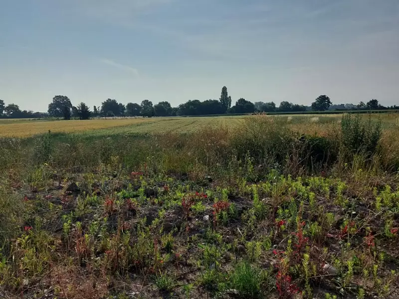Maison neuve, 89 m² - Houssen (68125)