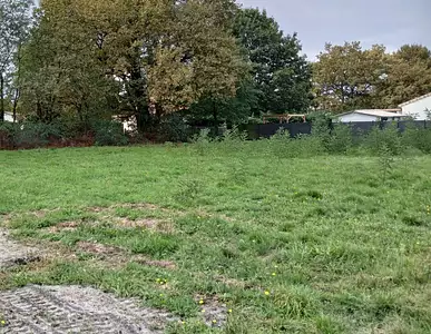 Maison neuve, 85 m²