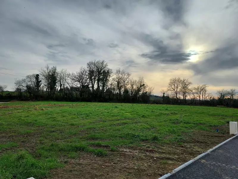 Terrain à bâtir, 539 m² - Vallet (44330)