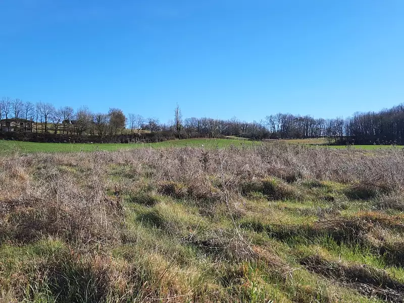 Terrain à bâtir, 1 500 m² - Saint-Jean-de-Duras (47120)