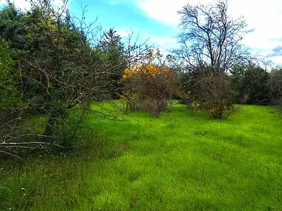 Maison neuve, 87 m²